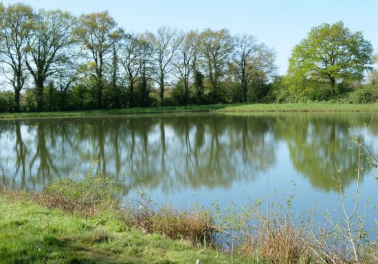 Étang de pêche des Petites Landes