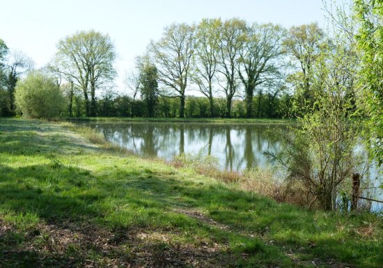 Étang de pêche des Petites Landes