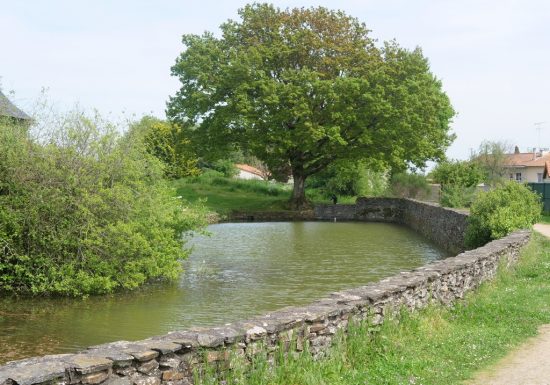 Étang de pêche à la Loge