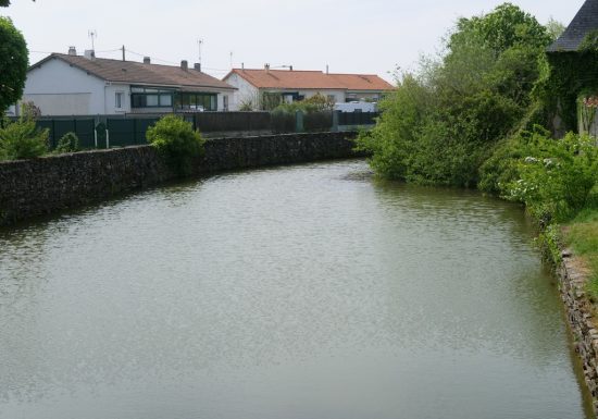 Étang de pêche à la Loge