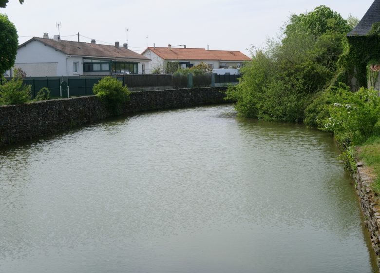 Étang de pêche à la Loge