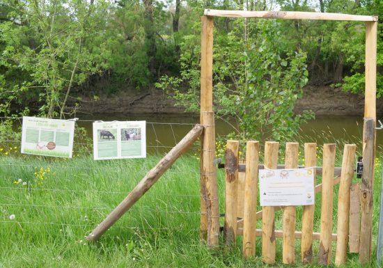 Pêche à la Boire du Seil