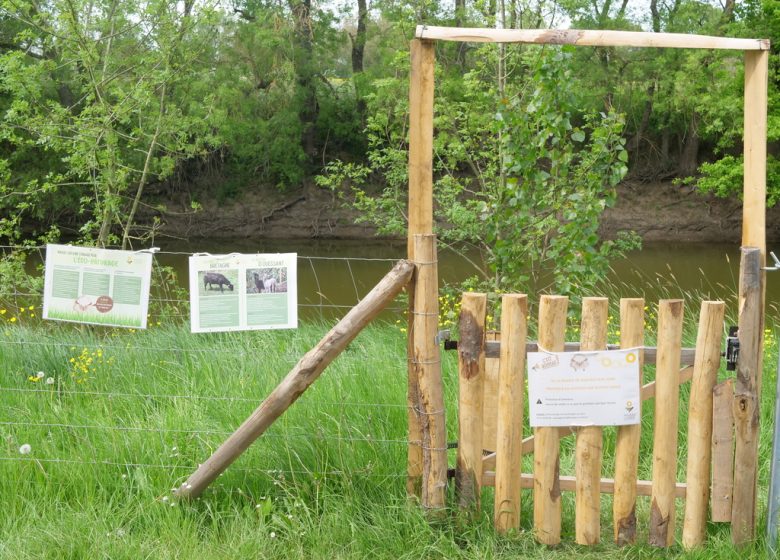 Pêche à la Boire du Seil