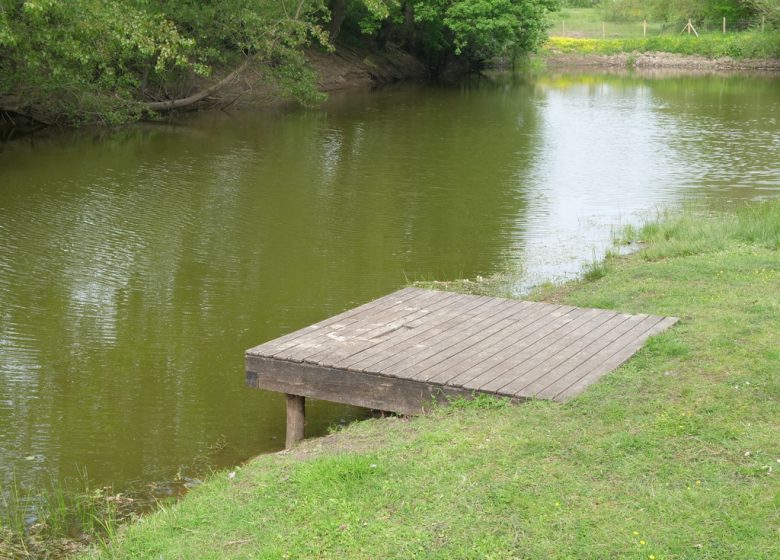 Pêche à la Boire du Seil