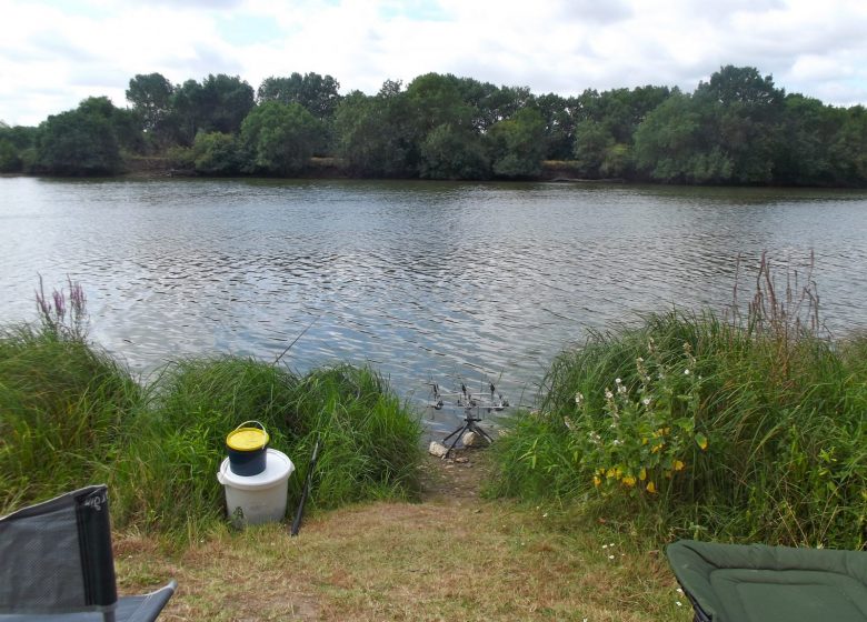 PÊCHE SUR LA BOIRE DU SEIL AU MARILLAIS