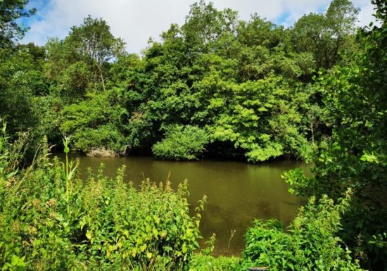 Parcours pêche de Coulaines