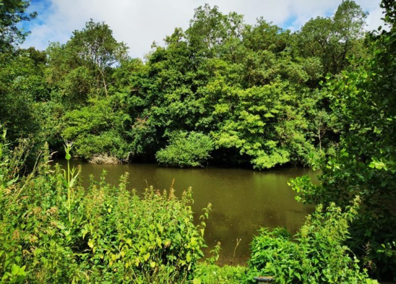 Parcours pêche de Coulaines