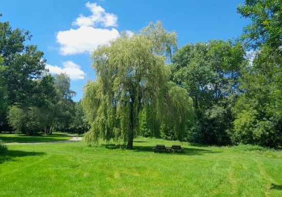 Parcours pêche de Coulaines
