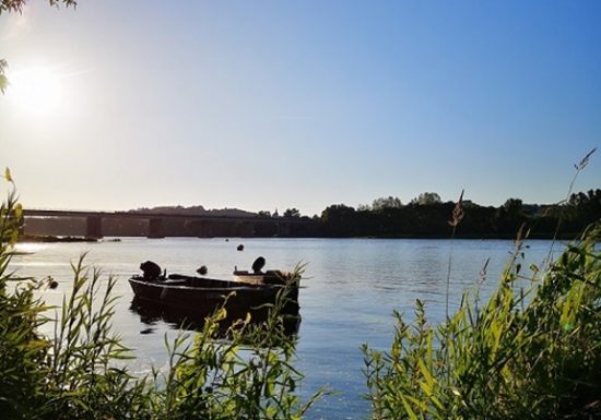 Parcours pêche de Champtoceaux