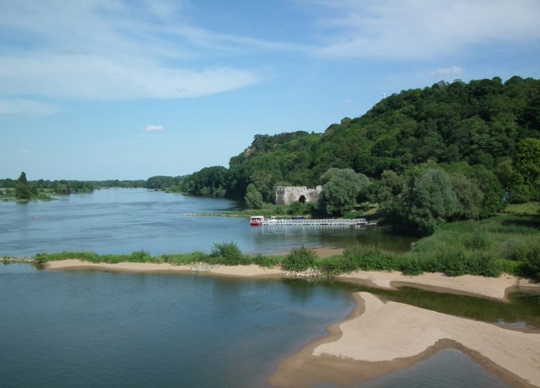 Parcours pêche de Champtoceaux