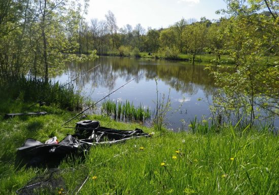 Boires de la Rompure et de la Nigaudière