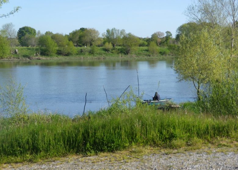 BOIRES DE LA ROMPURE ET DE LA NIGAUDIÈRE