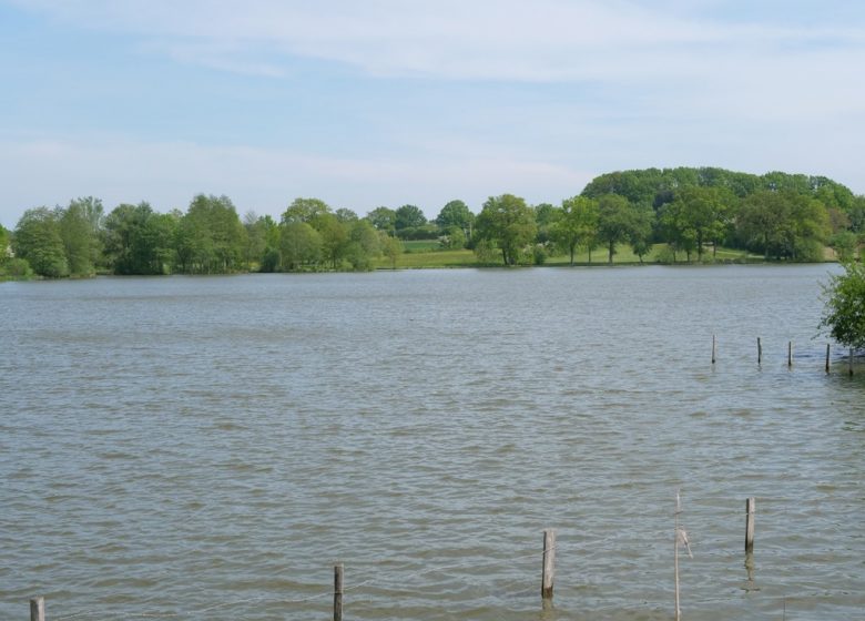 Étang de pêche la Coudraie