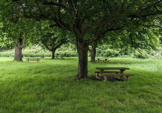 Parcours pêche de Haute Brin