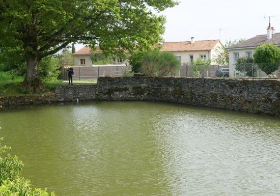 Étang de pêche à la Loge