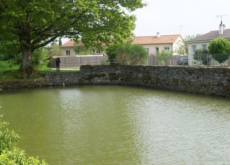 Étang de pêche à la Loge