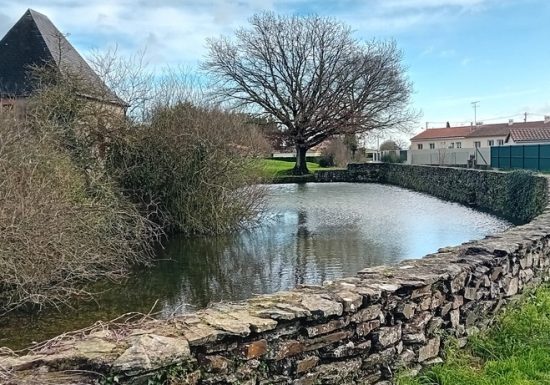 Étang de pêche à la Loge