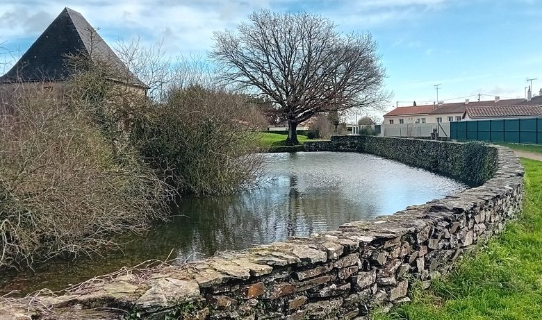 Étang de pêche à la Loge