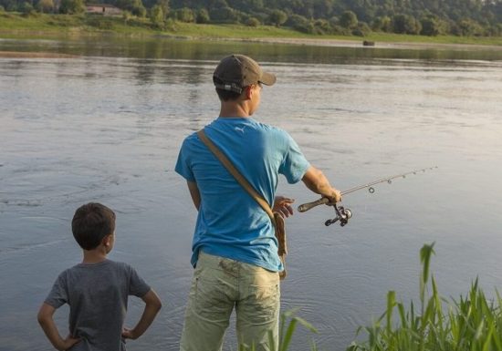 Parcours de pêche à Saint-Florent-le-Vieil