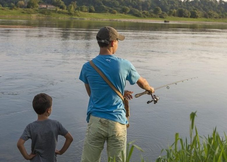 Parcours de pêche à Saint-Florent-le-Vieil