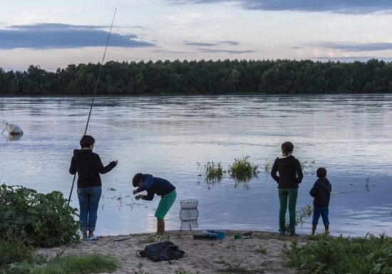 Parcours de pêche à Saint-Florent-le-Vieil