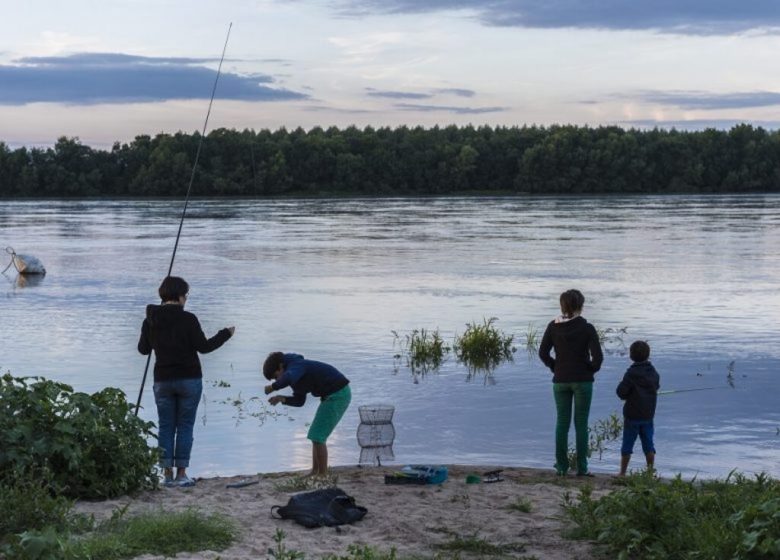 Parcours de pêche à Saint-Florent-le-Vieil
