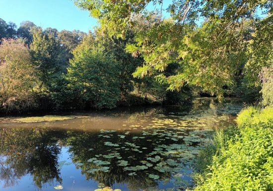 Parcours pêche du chemin des Pêcheurs