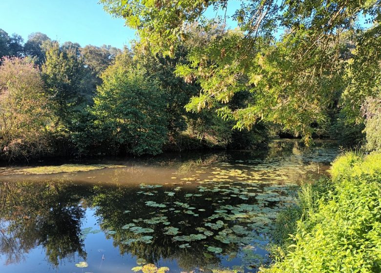 Parcours pêche du chemin des Pêcheurs