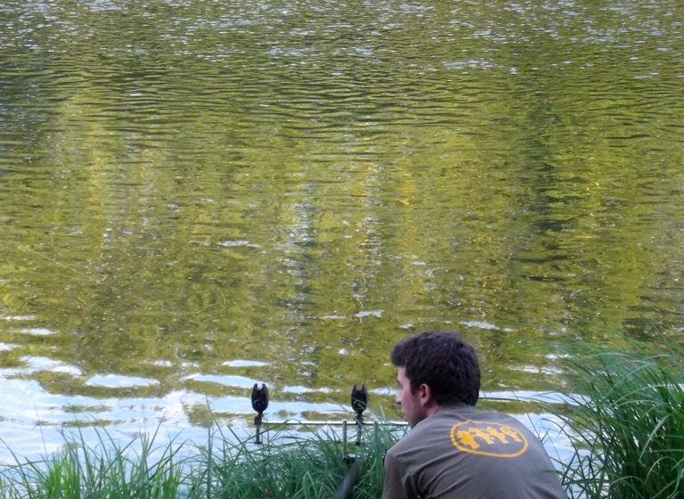 Parcours pêche de Montjean sur Loire