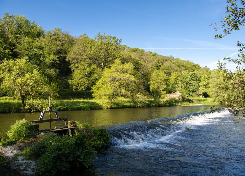 Parcours pêche de Torfou