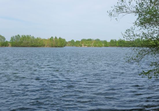 Étang de pêche de Sol de Loire