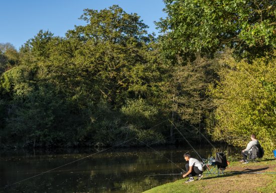 Etang de pêche de Rochefort
