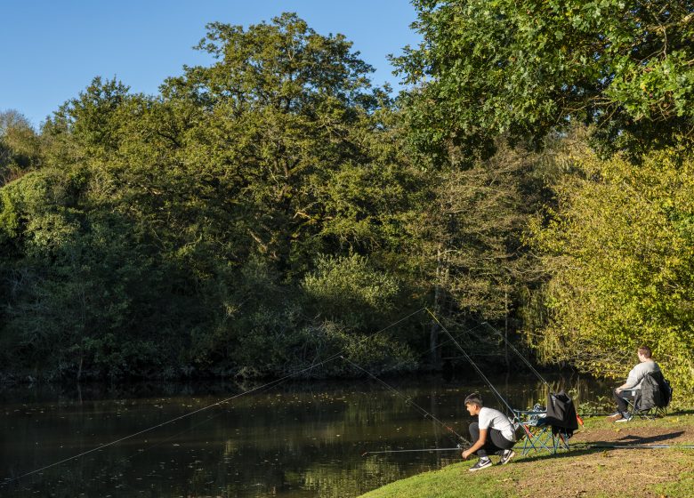 Etang de pêche de Rochefort