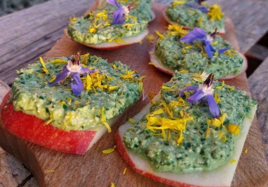 Découverte des plantes sauvages comestibles