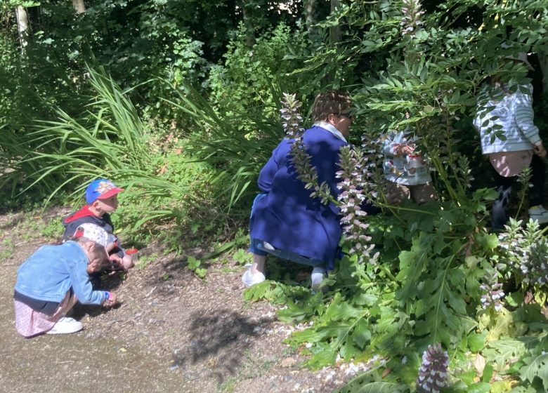 Atelier apprenti naturaliste : les petites bêtes à Cap Loire