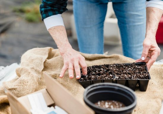 Animation 123 jardin – A la découverte des graines de haies bocagères : préparation des semis