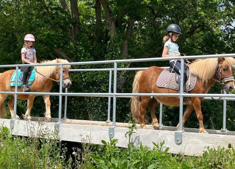 Stages été – Plongez dans l&rsquo;univers du cheval
