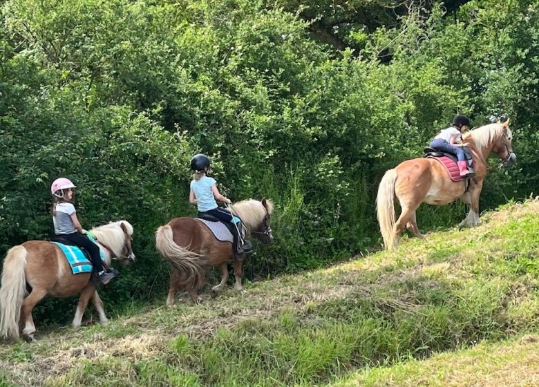 Stages été – Plongez dans l&rsquo;univers du cheval