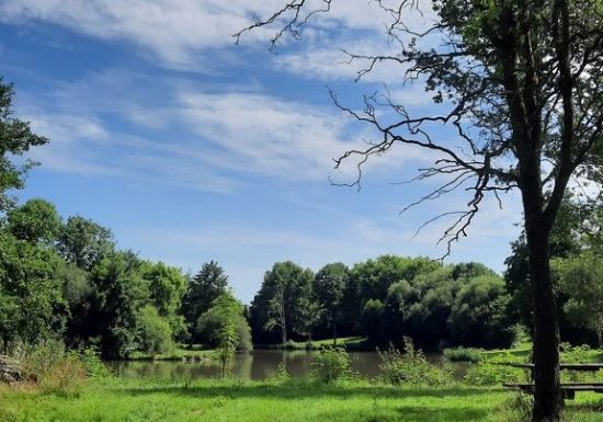 Etang de pêche à la Pierre Tournisse