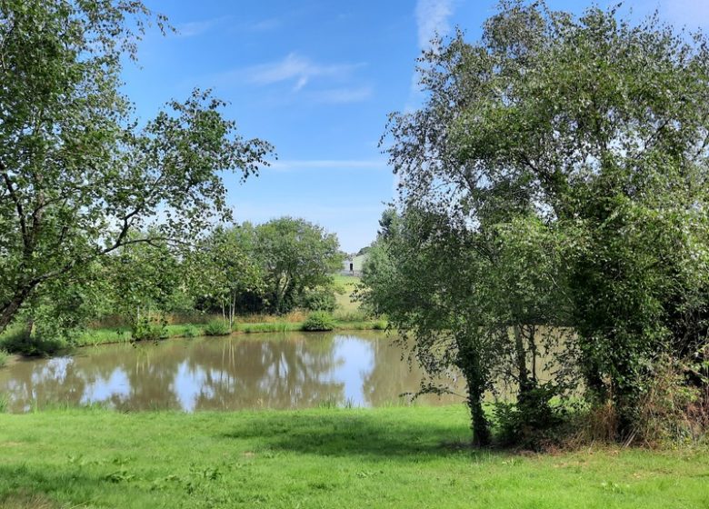 Etang de pêche à la Pierre Tournisse