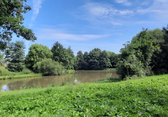 Etang de pêche à la Pierre Tournisse