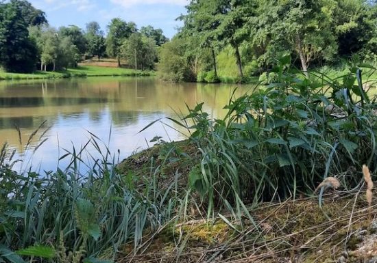 Etang de pêche à la Pierre Tournisse