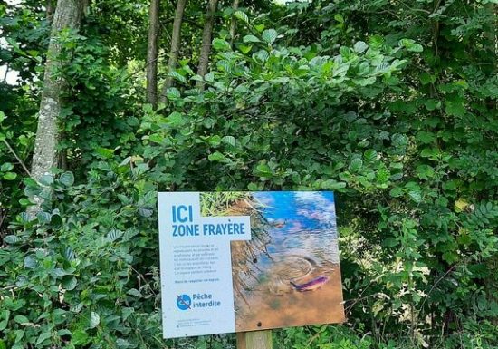 Etang de pêche à la Pierre Tournisse