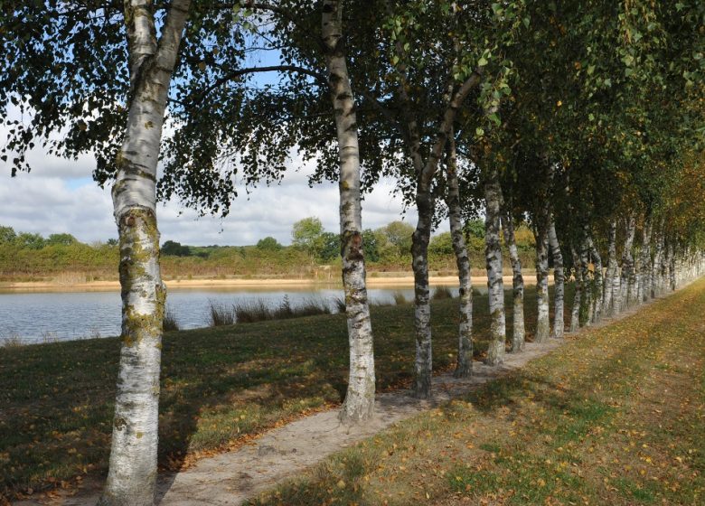 Aire de pique nique de l’Etang des Noues