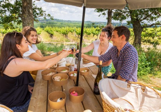 Balade et pique-nique dans les vignes au Domaine des Galloires