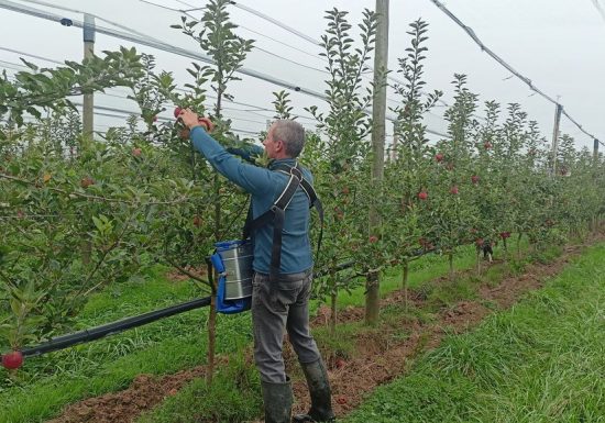 Le Verger de la Petite-Rainette