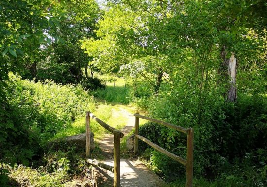 Randonnée « De la Grossière à Tiffauges »