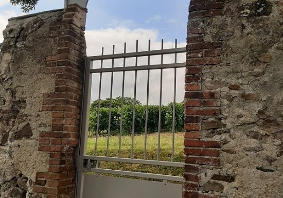 Clos de vigne de La Pierre à Fourneau