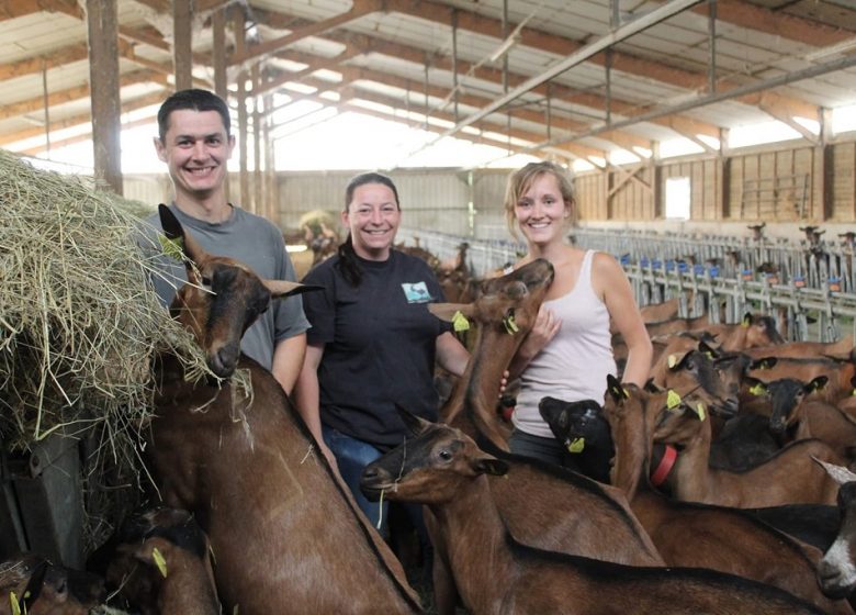 EARL Chevretheil, fromage de chèvre et savons artisanaux