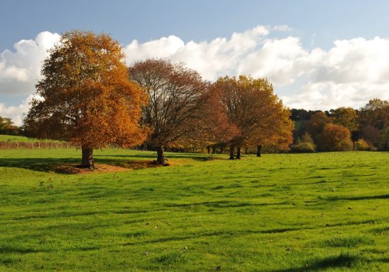 VTT LA MOINE, ENTRE GRANITE ET VIGNOBLE